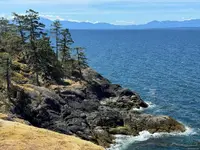View 18