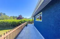 View 41