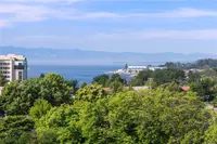 View 16
