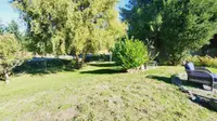 View 8