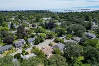 View 49