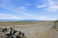 View 85