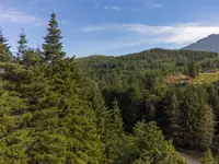 View 25