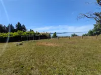 View 11