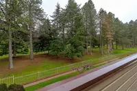 View 38