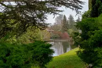 View 41