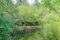 View 59