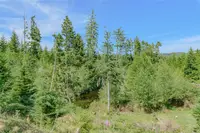 View 60