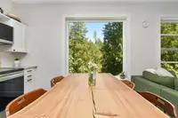 View 81