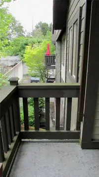 View 16