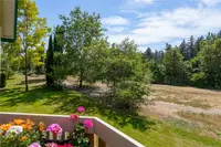 View 29