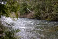 View 15
