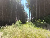 View 10