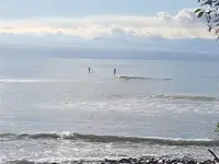 View 15