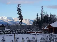 View 14