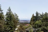 View 23