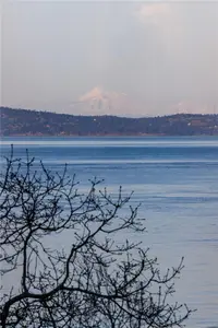 View 51