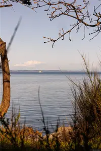 View 50