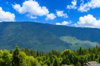 View 24