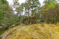 View 53