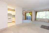 View 6
