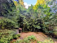 View 25