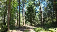 View 43