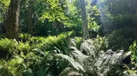 View 49
