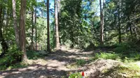 View 44