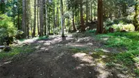 View 35