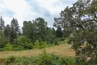 View 16