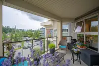 View 26