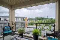 View 24