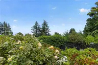 View 53