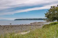View 50