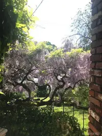 View 91