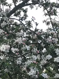 View 90