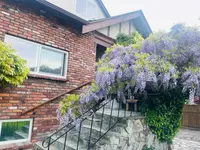 View 86