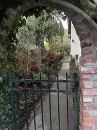 View 87