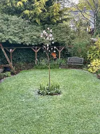 View 93