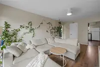 View 12