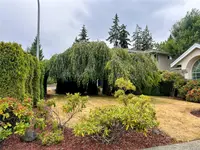 View 60