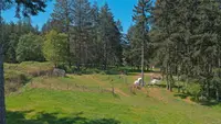 View 25