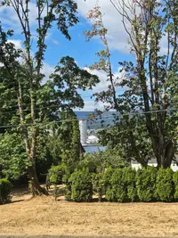 View 49