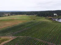 View 36
