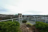 View 42