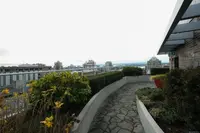 View 41