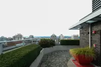 View 45