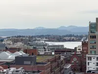 View 55