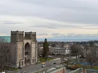 View 59